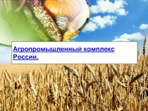 География 9 класс «Агропромышленный комплекс России»