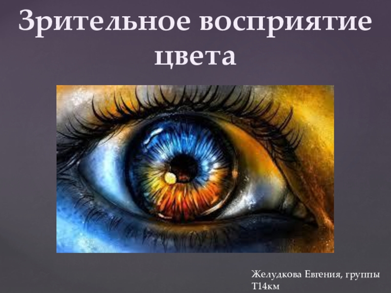 Зрительное восприятие цвета
Желудкова Евгения, группы Т14км