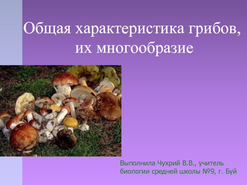 Общая характеристика грибов, их многообразие