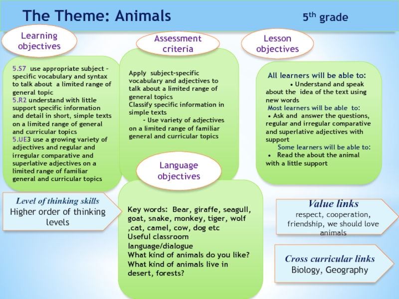 Animals презентация