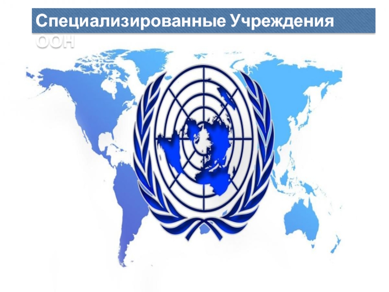 Специализированные Учреждения ООН
