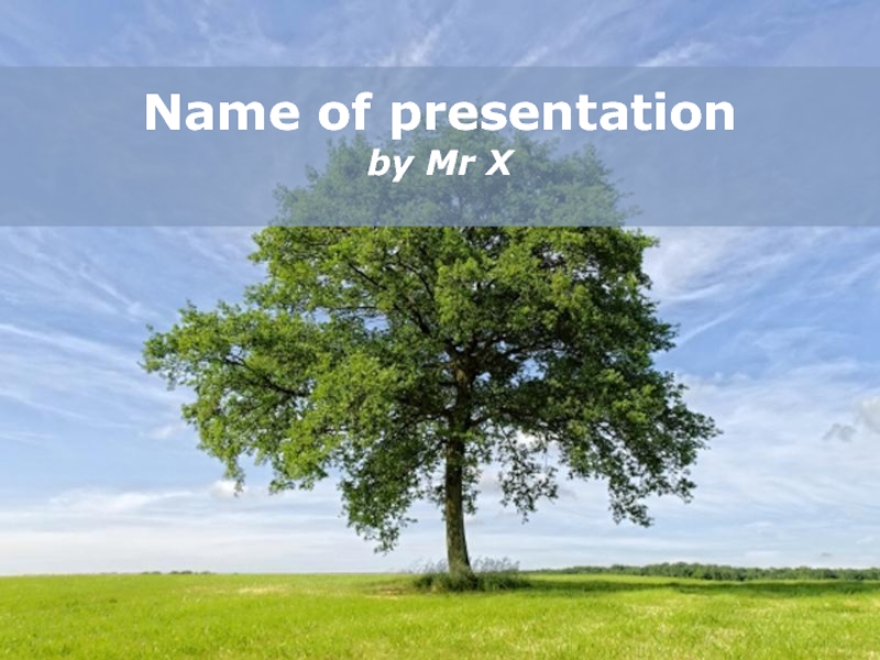Шаблон для презентации Зеленое дерево