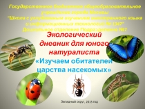 Экологический дневник для юного натуралиста  Изучаем обитателей царства насекомых