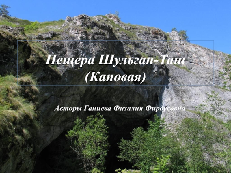Пещера Шульган-Таш (Каповая)