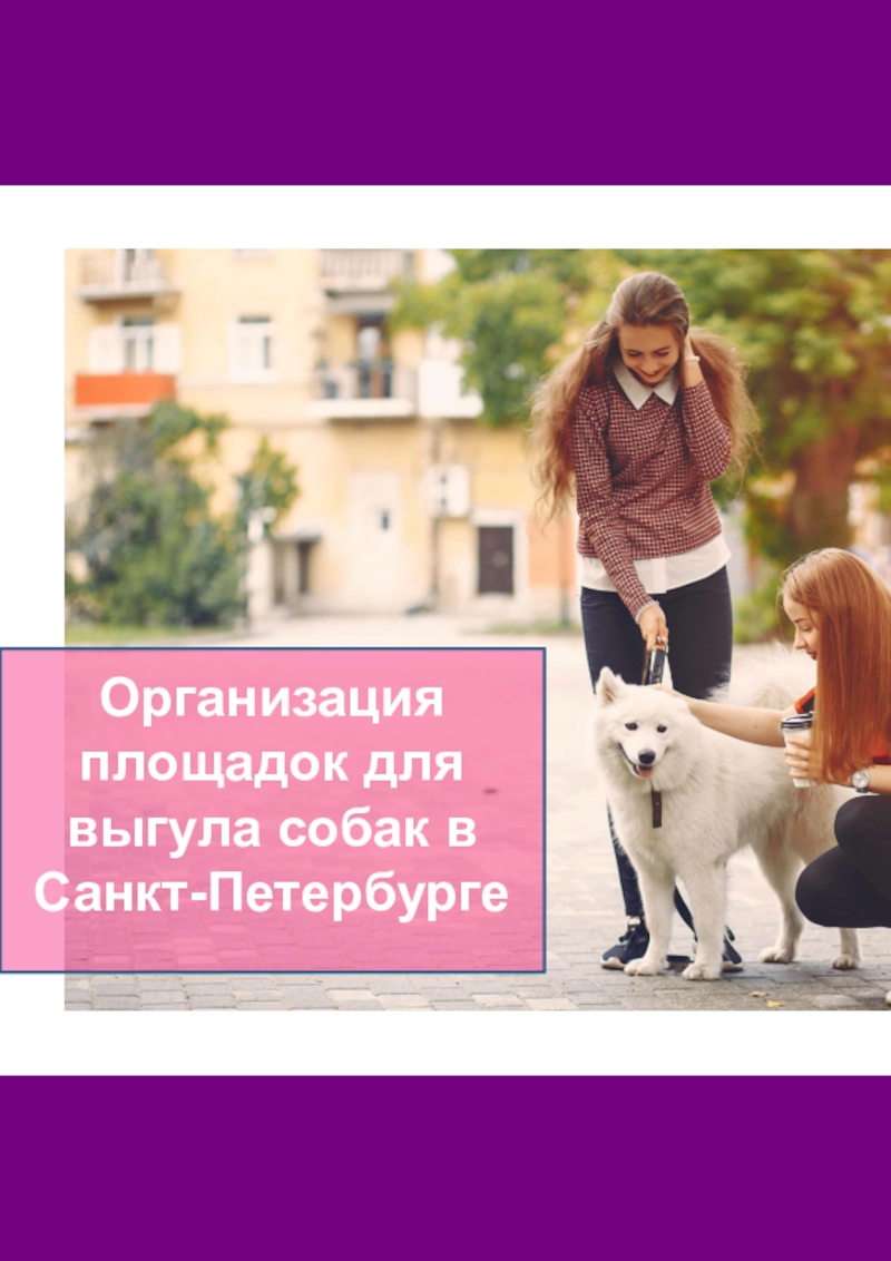 Организация площадок для выгула собак в Санкт-Петербурге