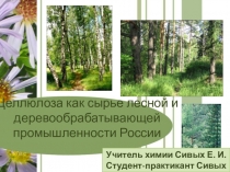 Электронный образовательный ресурс презентация к уроку химии и географии Целлюлоза как сырье лесной и деревообрабатывающей промышленность России