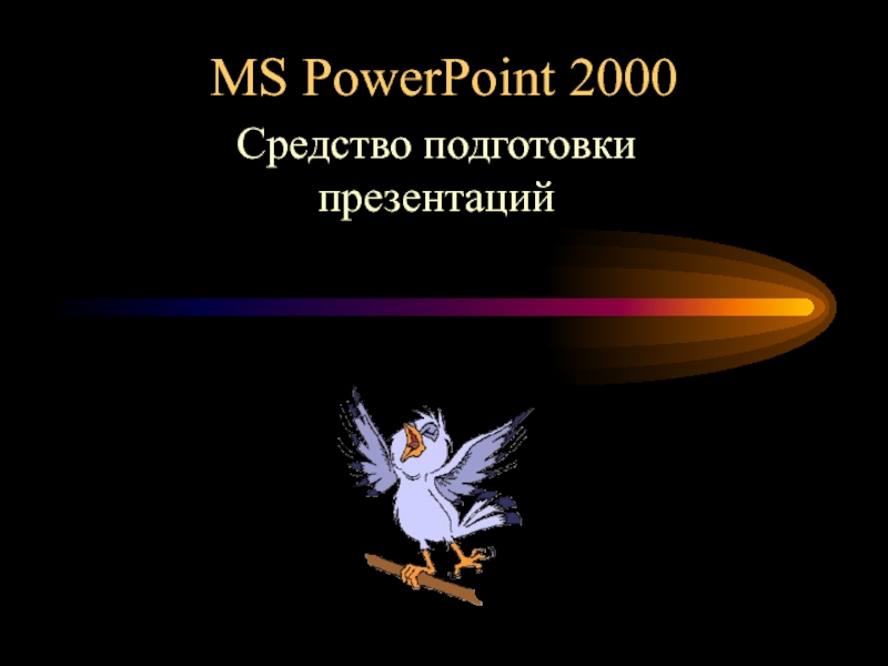 MS PowerPoint 2000