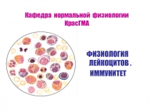 Физиология лейкоцитов Иммунитет