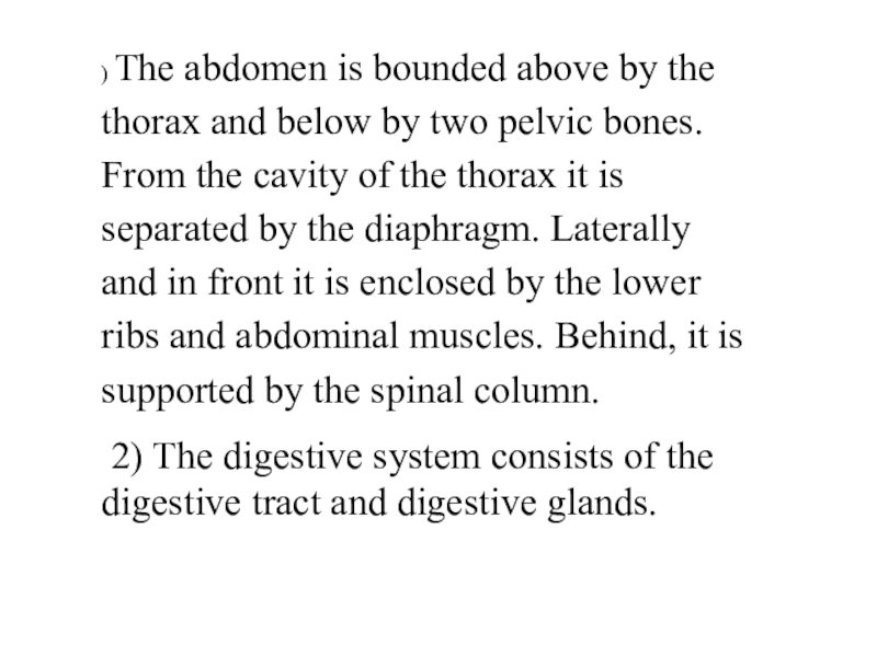 Презентация The abdomen is bounded above by the thorax and below by two pelvic bones